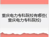 重庆电力专科院校有哪些(重庆电力专科院校)