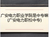 广安电力职业学院是中专嘛(广安电力职校中专)