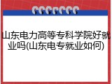 山东电力高等专科学院好就业吗(山东电专就业如何)