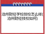 沧州财经学校技校怎么样(沧州财经技校如何)