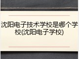 沈阳电子技术学校是哪个学校(沈阳电子学校)