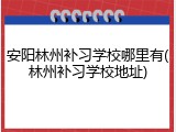 安阳林州补习学校哪里有(林州补习学校地址)