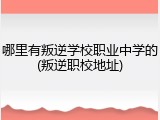 哪里有叛逆学校职业中学的(叛逆职校地址)