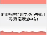 湖南叛逆特训学校中专能上吗(湖南叛逆中专)
