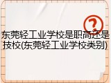 东莞轻工业学校是职高还是技校(东莞轻工业学校类别)