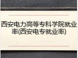 西安电力高等专科学院就业率(西安电专就业率)