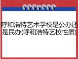 呼和浩特艺术学校是公办还是民办(呼和浩特艺校性质)