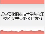 辽宁石化职业技术学院化工校区(辽宁石化化工校区)