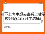 考不上高中想去当兵上啥学校好呢(当兵升学选择)
