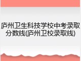 庐州卫生科技学校中考录取分数线(庐州卫校录取线)