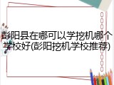 彭阳县在哪可以学挖机哪个学校好(彭阳挖机学校推荐)