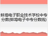 蚌埠电子职业技术学校中专分数(蚌埠电子中专分数线)