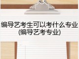 编导艺考生可以考什么专业(编导艺考专业)