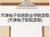 天津电子信息职业学院录取(天津电子职院录取)