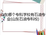 山东哪个专科学校有石油专业(山东石油专科校)