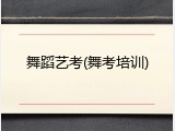 舞蹈艺考(舞考培训)