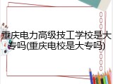 重庆电力高级技工学校是大专吗(重庆电校是大专吗)