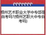 梧州艺术职业大学中专部是自考吗?(梧州艺职大中专自考吗)
