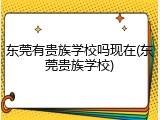 东莞有贵族学校吗现在(东莞贵族学校)