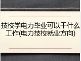 技校学电力毕业可以干什么工作(电力技校就业方向)