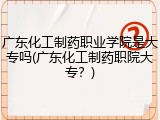 广东化工制药职业学院是大专吗(广东化工制药职院大专？)