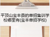 平顶山宝丰县的单招集训学校哪里有(宝丰单招学校)