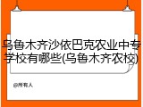 乌鲁木齐沙依巴克农业中专学校有哪些(乌鲁木齐农校)