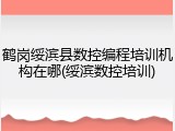 鹤岗绥滨县数控编程培训机构在哪(绥滨数控培训)