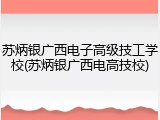 苏炳银广西电子高级技工学校(苏炳银广西电高技校)