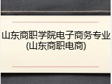 山东商职学院电子商务专业(山东商职电商)