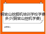 铜官山挖掘机培训学校学费多少(铜官山挖机学费)
