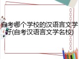 自考哪个学校的汉语言文学好(自考汉语言文学名校)
