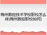 梅州数控技术学校职校怎么样(梅州数控职校如何)