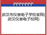 武汉市仪表电子学校官网(武汉仪表电子校网)