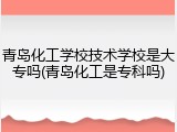青岛化工学校技术学校是大专吗(青岛化工是专科吗)