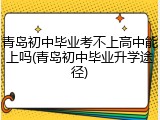 青岛初中毕业考不上高中能上吗(青岛初中毕业升学途径)