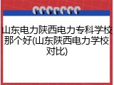 山东电力陕西电力专科学校那个好(山东陕西电力学校对比)