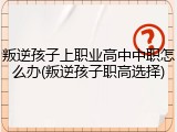 叛逆孩子上职业高中中职怎么办(叛逆孩子职高选择)