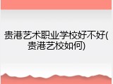 贵港艺术职业学校好不好(贵港艺校如何)