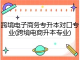 跨境电子商务专升本对口专业(跨境电商升本专业)