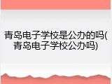 青岛电子学校是公办的吗(青岛电子学校公办吗)