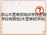 凉山木里单招培训学校正规学校有那些(木里单招学校)