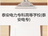 泰安电力专科高等学校(泰安电专)