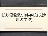 长沙宠物狗训练学校(长沙训犬学校)