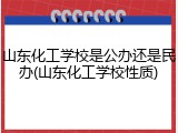 山东化工学校是公办还是民办(山东化工学校性质)