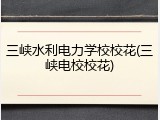 三峡水利电力学校校花(三峡电校校花)