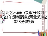 河北艺术高中录取分数线2023年最新消息(河北艺高2023分数线)