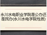 永川水电职业学院是公办还是民办(永川水电学院性质)