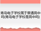 青岛电子学校属于普通高中吗(青岛电子学校是高中吗)