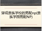 穿成贵族学校的男配np(贵族学园男配NP)